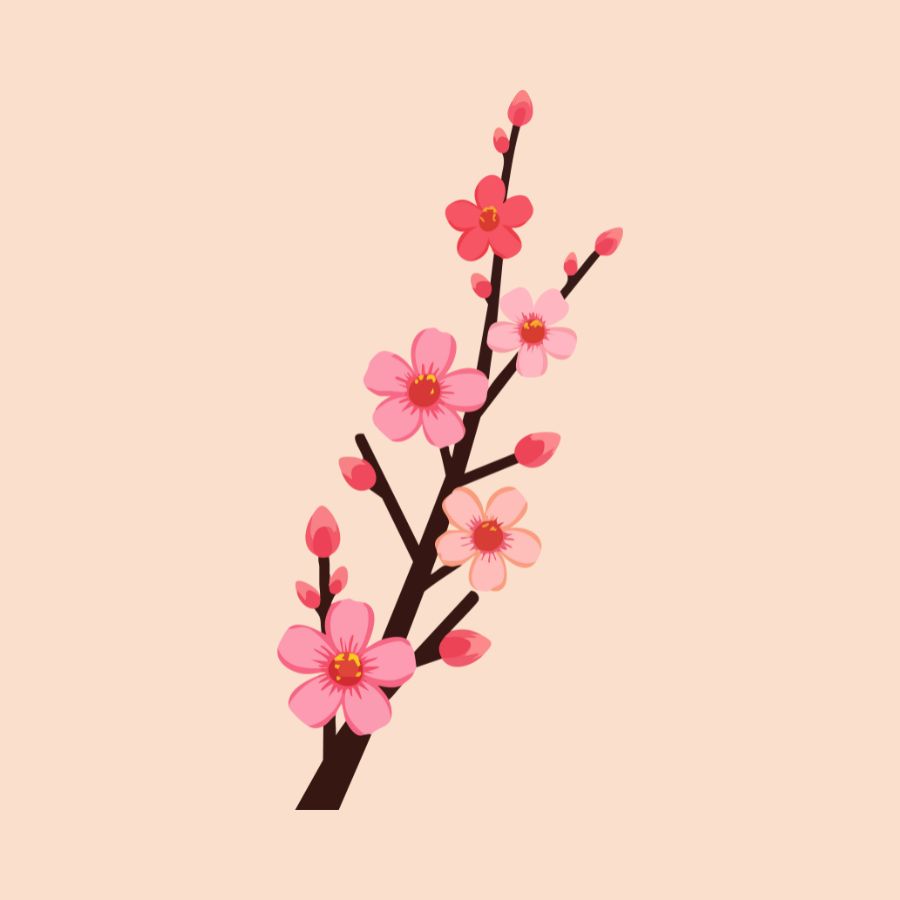 Cây đào, hoa đào, cây đào tết  28